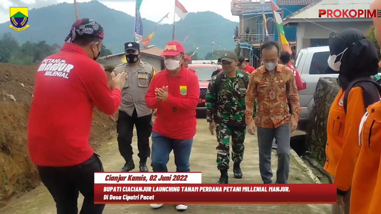 petanimanjur2.jpg